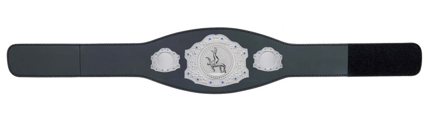 SILVER CHAMPIONSHIP BELT - XXLMIDI/S/WREST/S - AVAILABLE IN 4 LEATHER COLOURS SILVER CHAMPIONSHIP BELT - XXLMIDI/S/WREST/S - AVAILABLE IN 4 LEATHER COLOURS